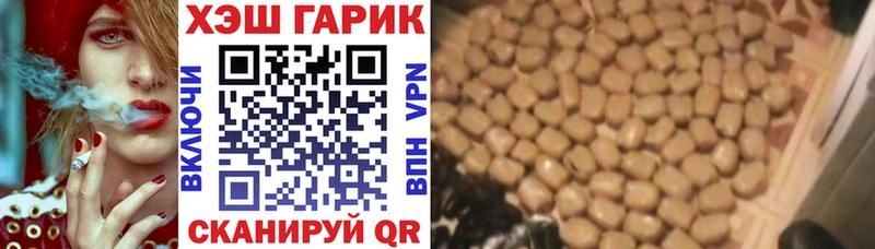 ГАШ VHQ  Шагонар 