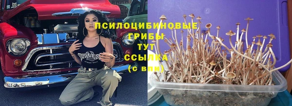 мдпв Белокуриха