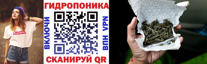 Шишки марихуана марихуана  Шагонар 