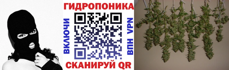 Шишки марихуана индика Шагонар